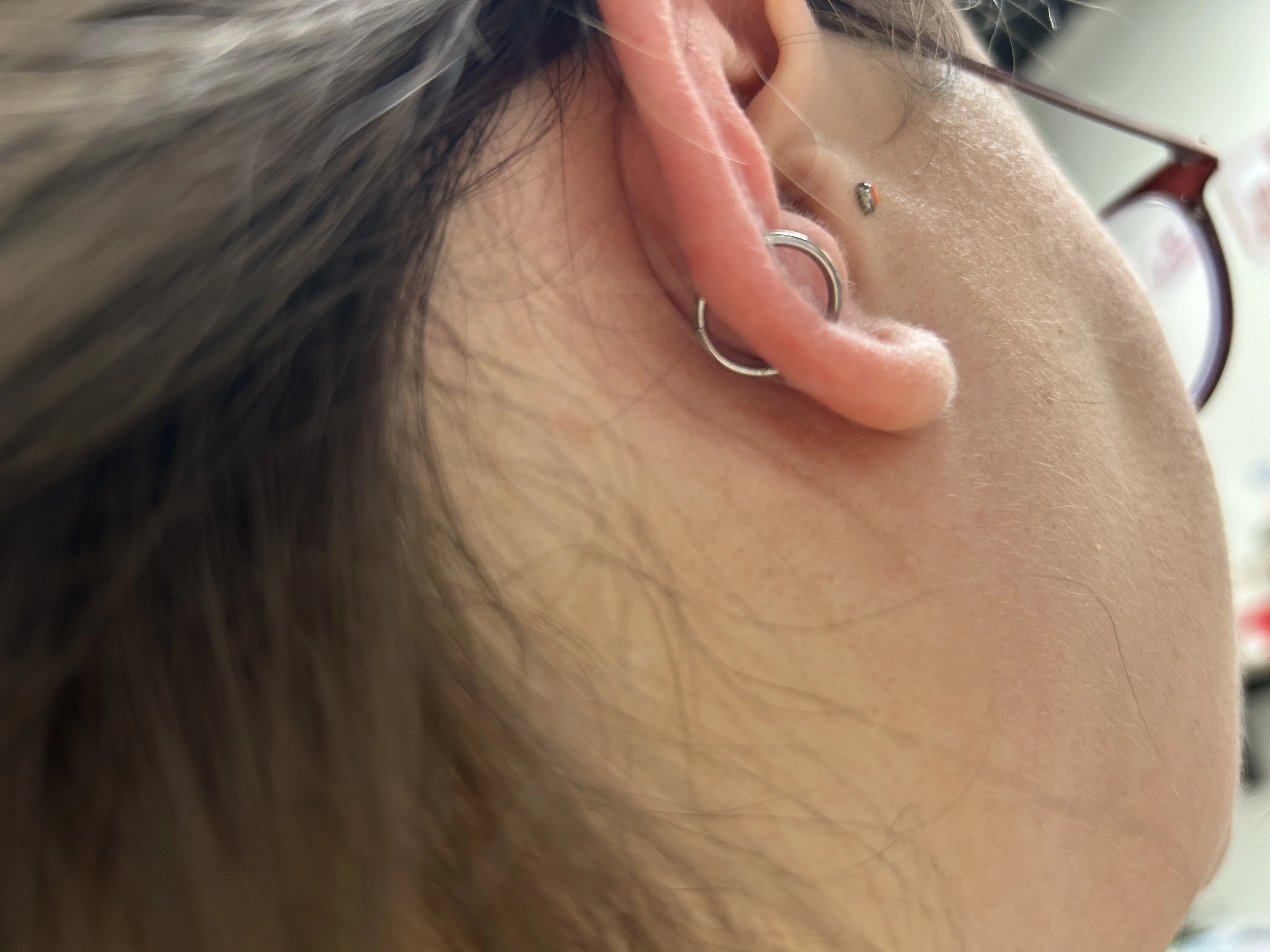 Orbital Lobe — lobe piercing